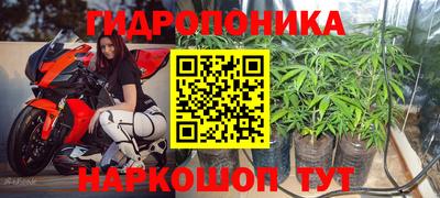 марихуана Обнинск